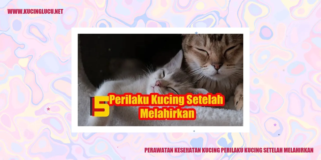 Perawatan Kesehatan Kucing Setelah Melahirkan