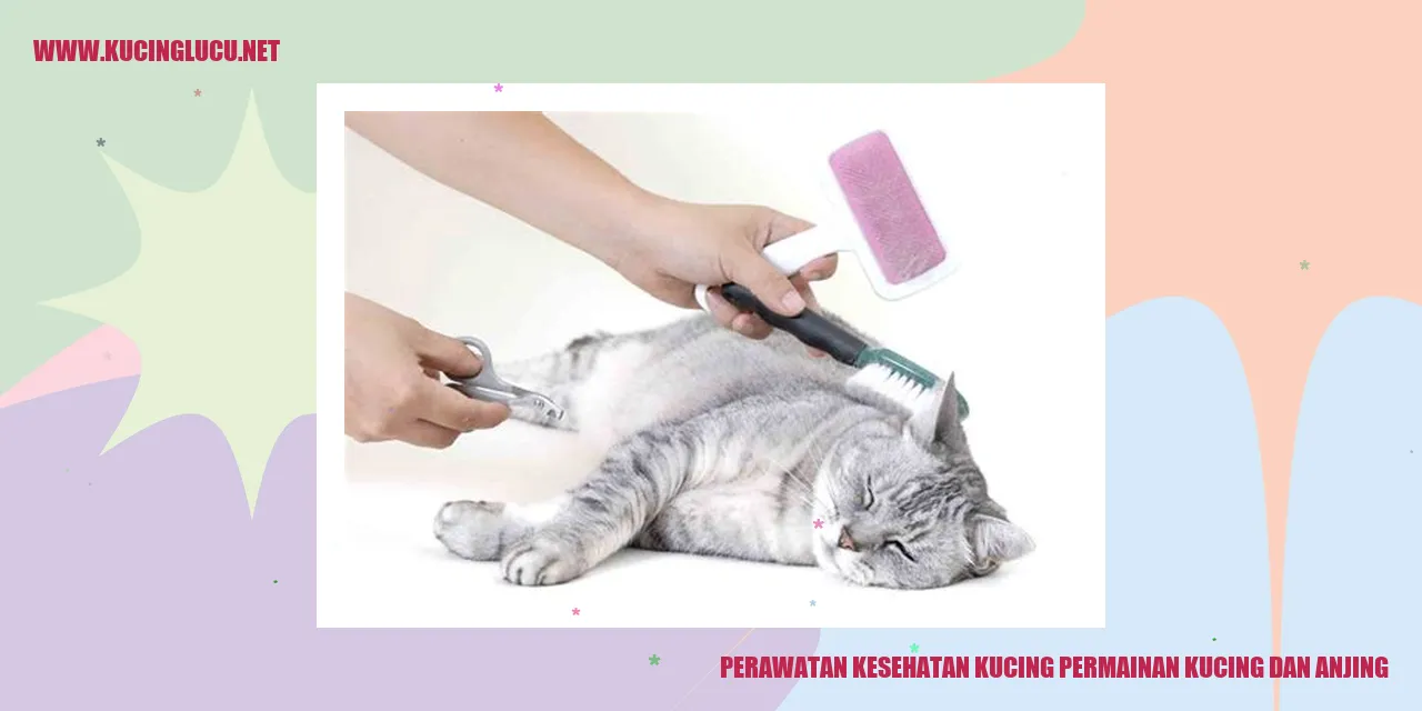 Perawatan Kesehatan Kucing permainan kucing dan anjing