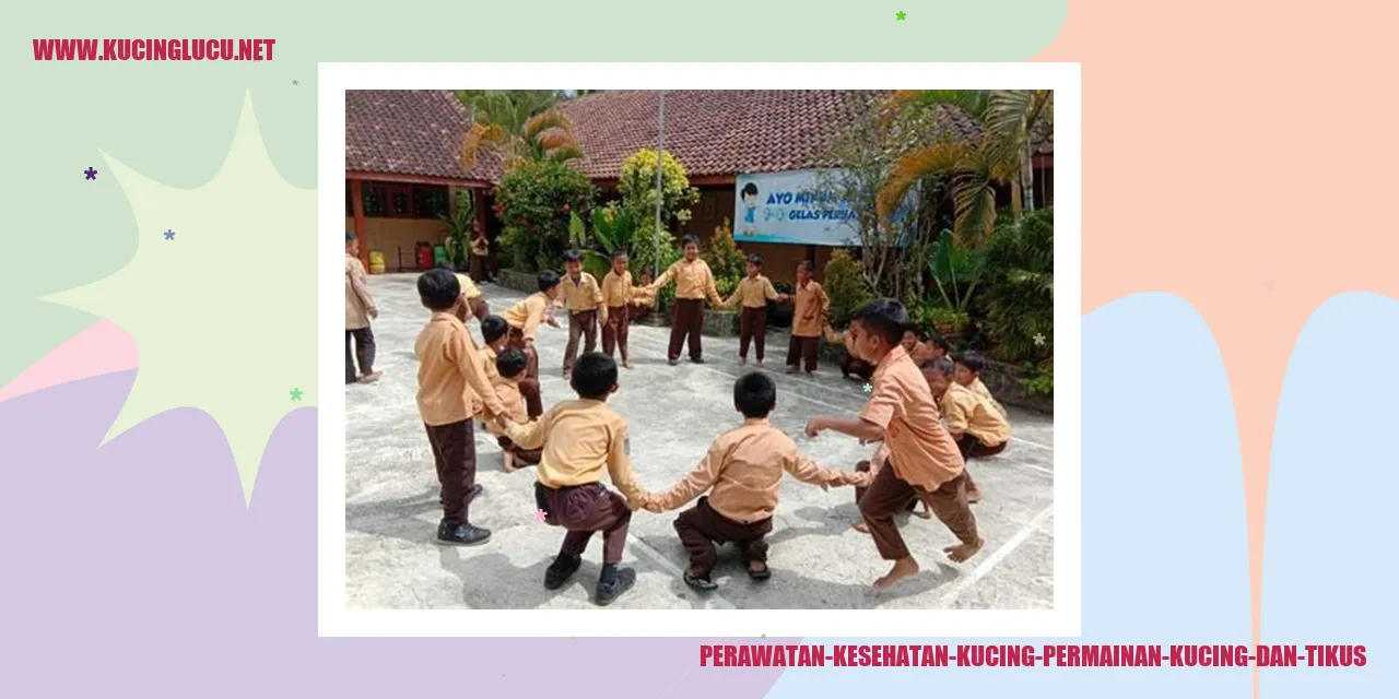Perawatan Kesehatan Kucing
