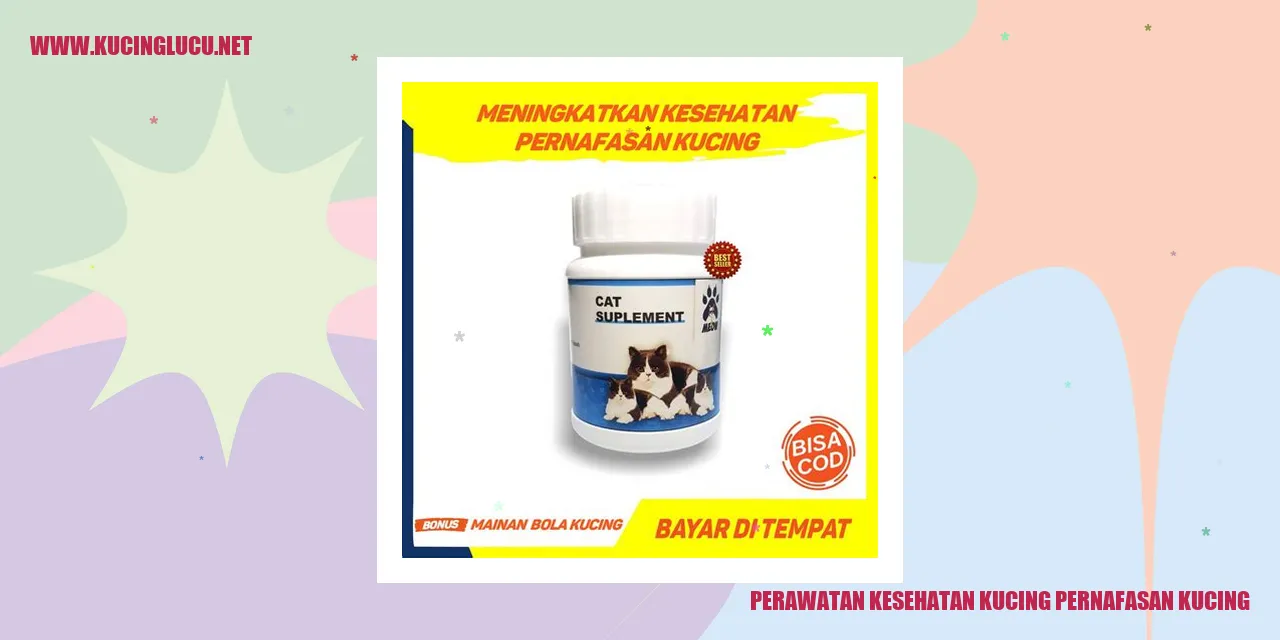 kucing pernafasan
