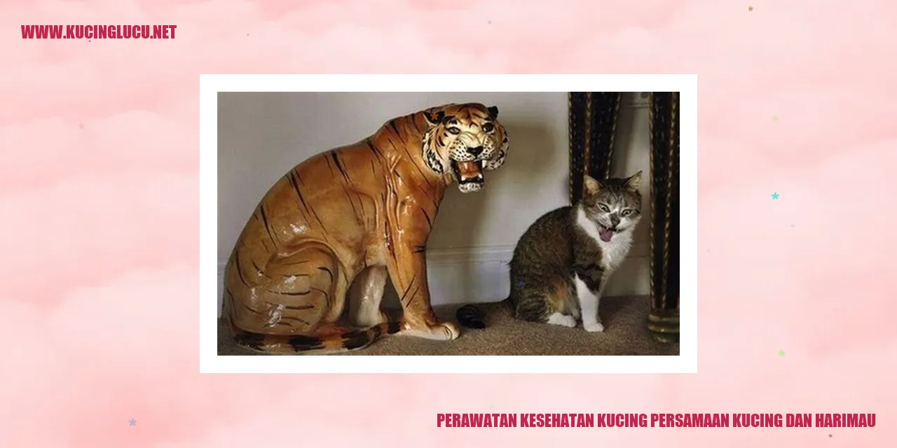 Ilustrasi seekor kucing yang sehat