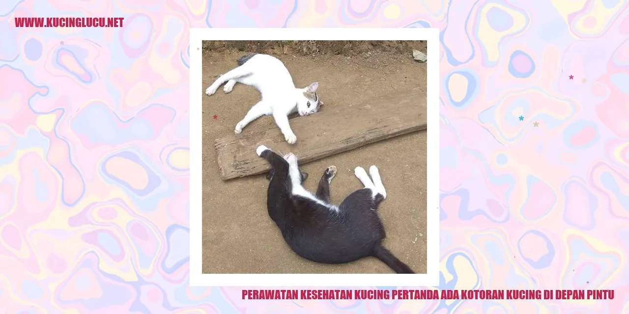 Perawatan Kesehatan Kucing