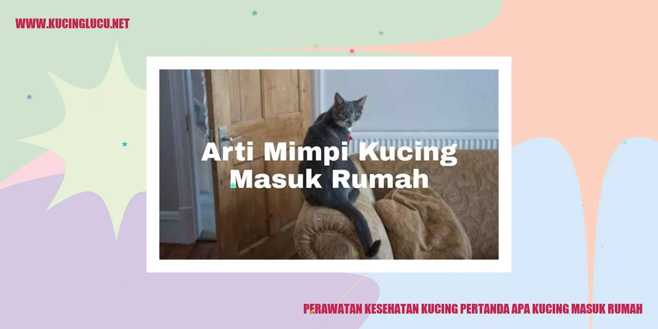 Perawatan Kesehatan Kucing