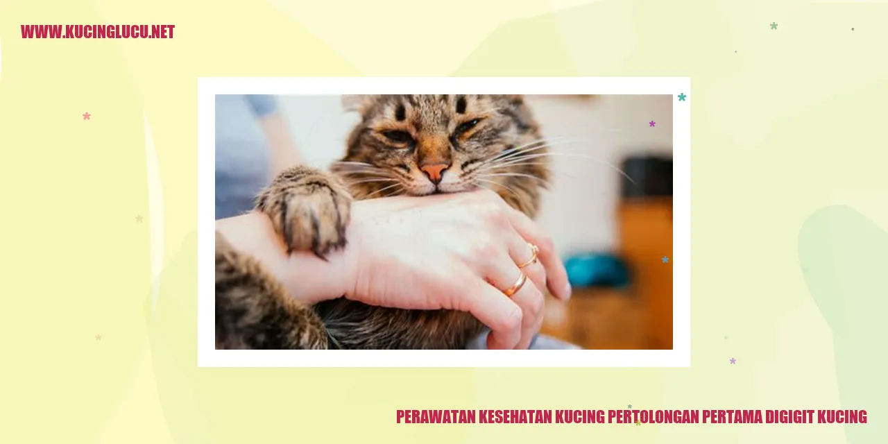 Perawatan Kesehatan Kucing