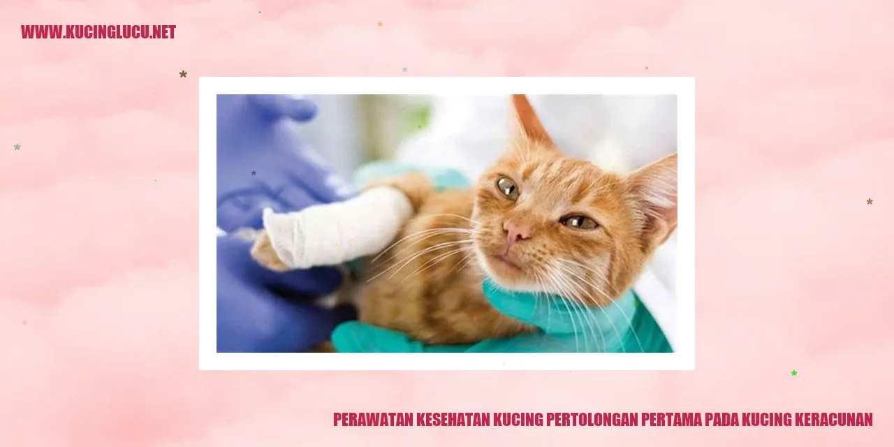 Gambar Kucing Keracunan