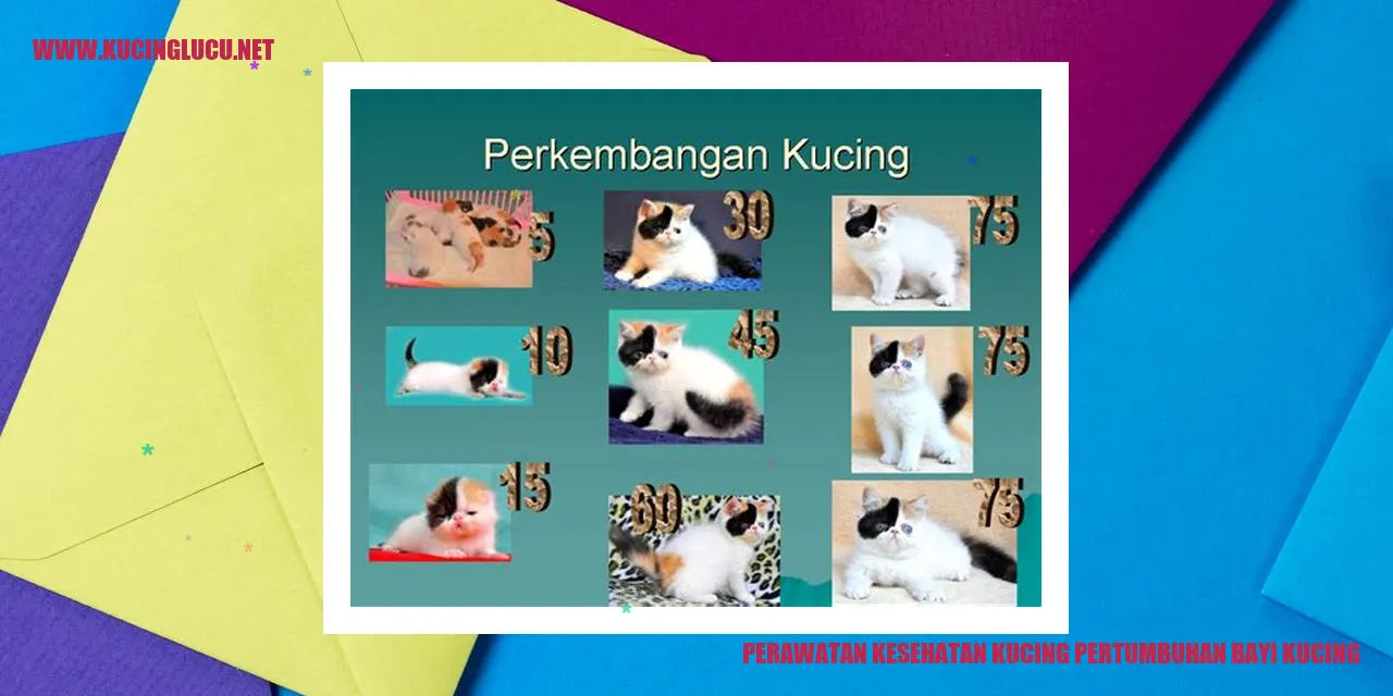 Perawatan Kesehatan Kucing pertumbuhan bayi kucing