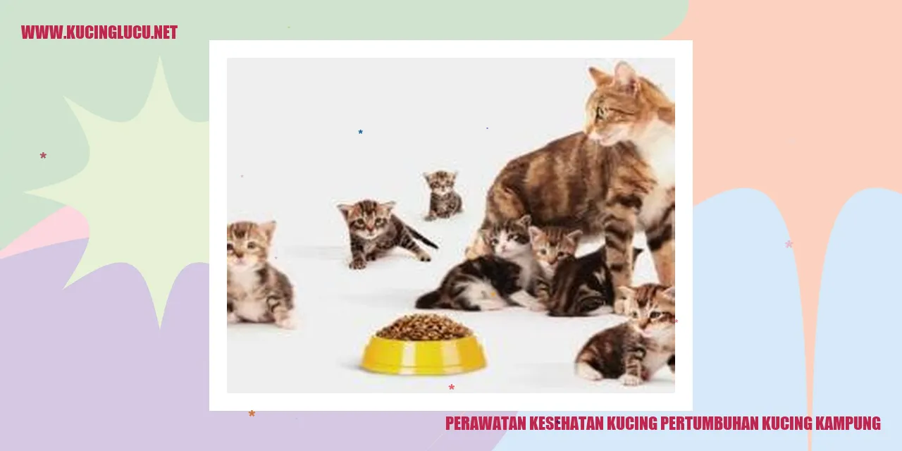 Perawatan Kucing Kampung