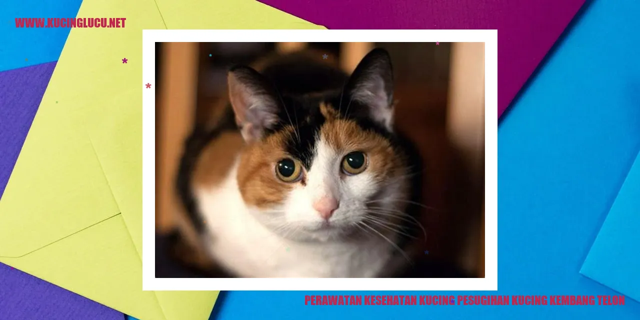 Gambar Kucing Pesugihan Kucing Kembang Telon