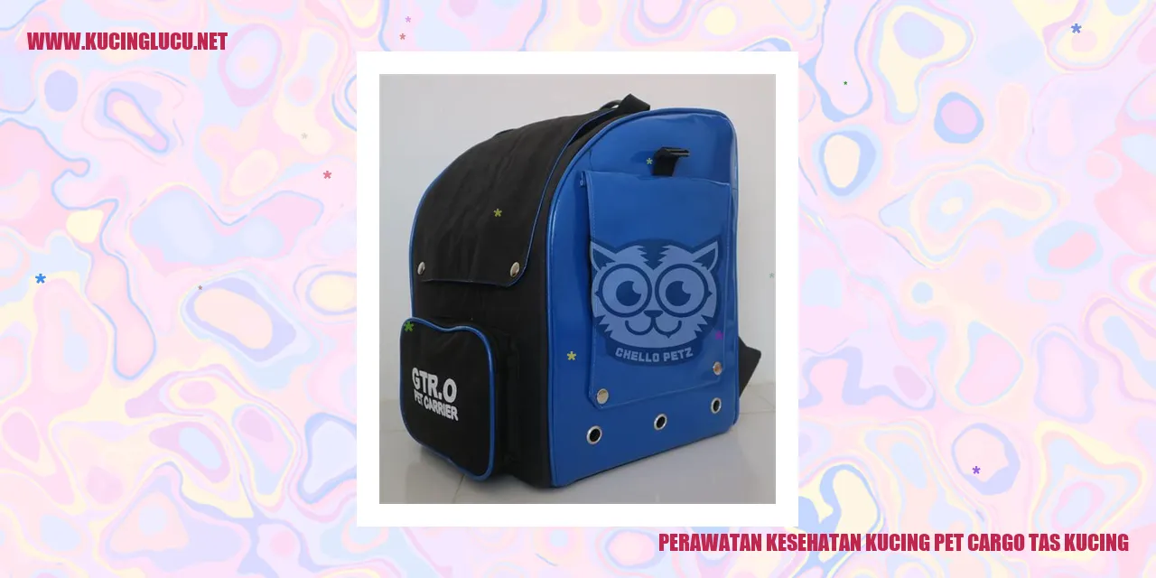 Kucing Sehat dengan Tas Kucing Pet Cargo