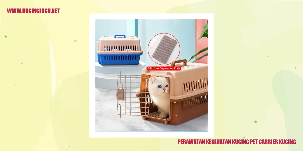 Perawatan Kesehatan Kucing pet carrier kucing