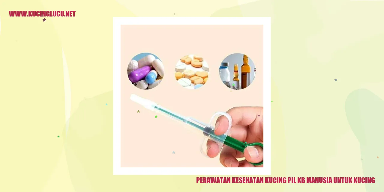 Perawatan Kesehatan Kucing dengan Pil KB Manusia untuk Kucing