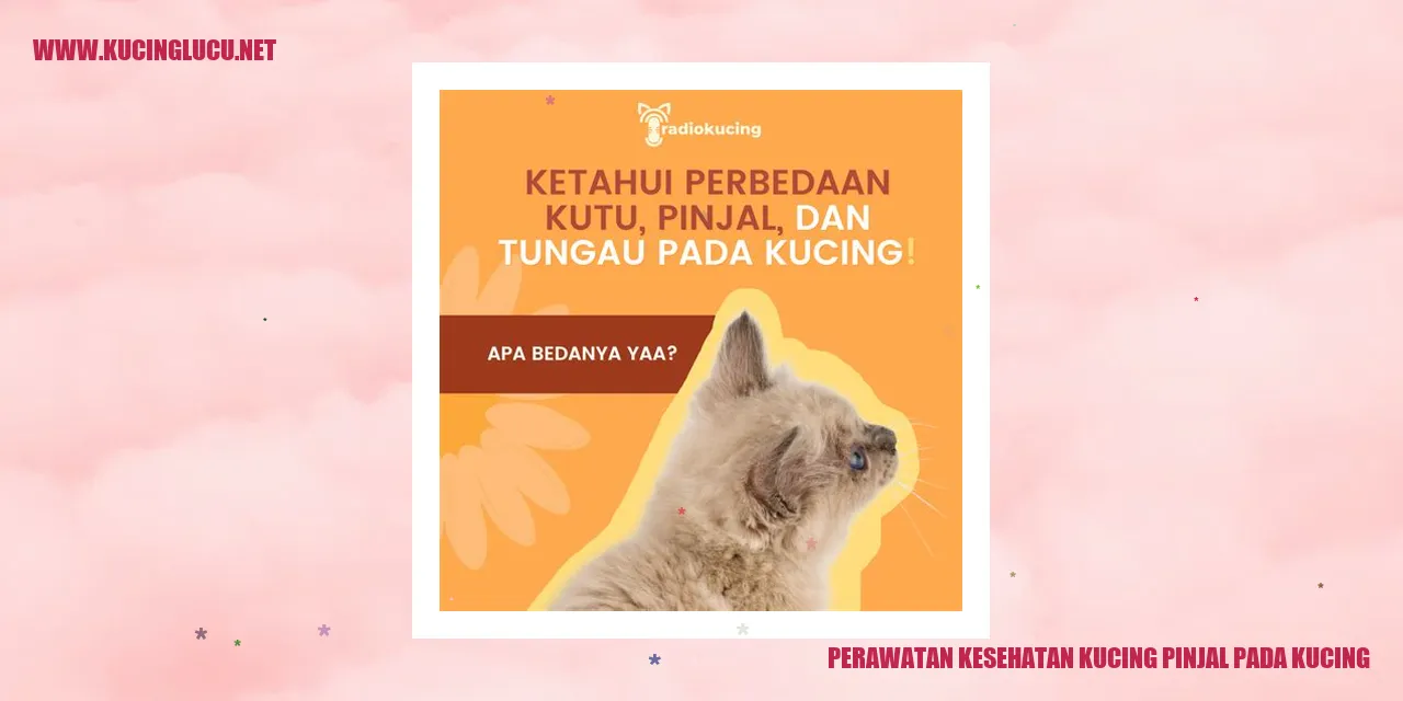 Kucing Pinjal