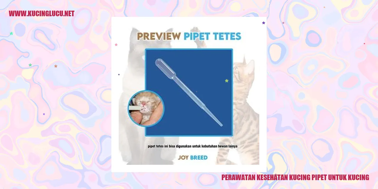 Perawatan Kesehatan Kucing Menggunakan Pipet