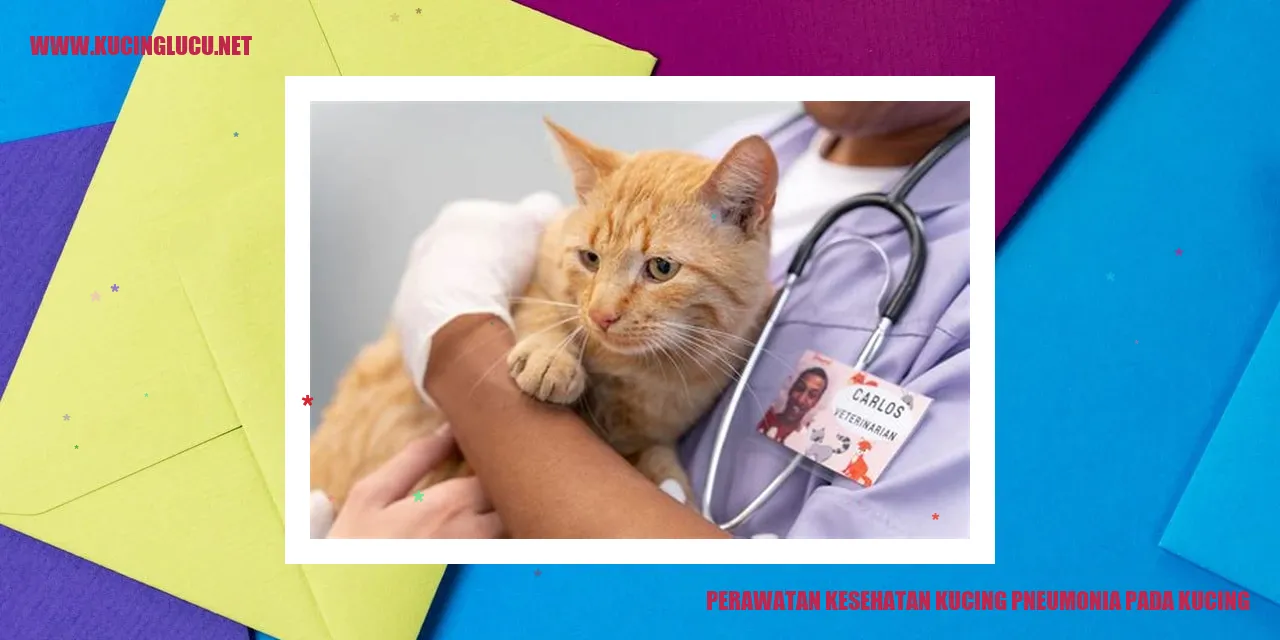 Perawatan Kesehatan Kucing Pneumonia