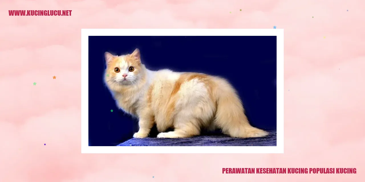 Gambar kucing