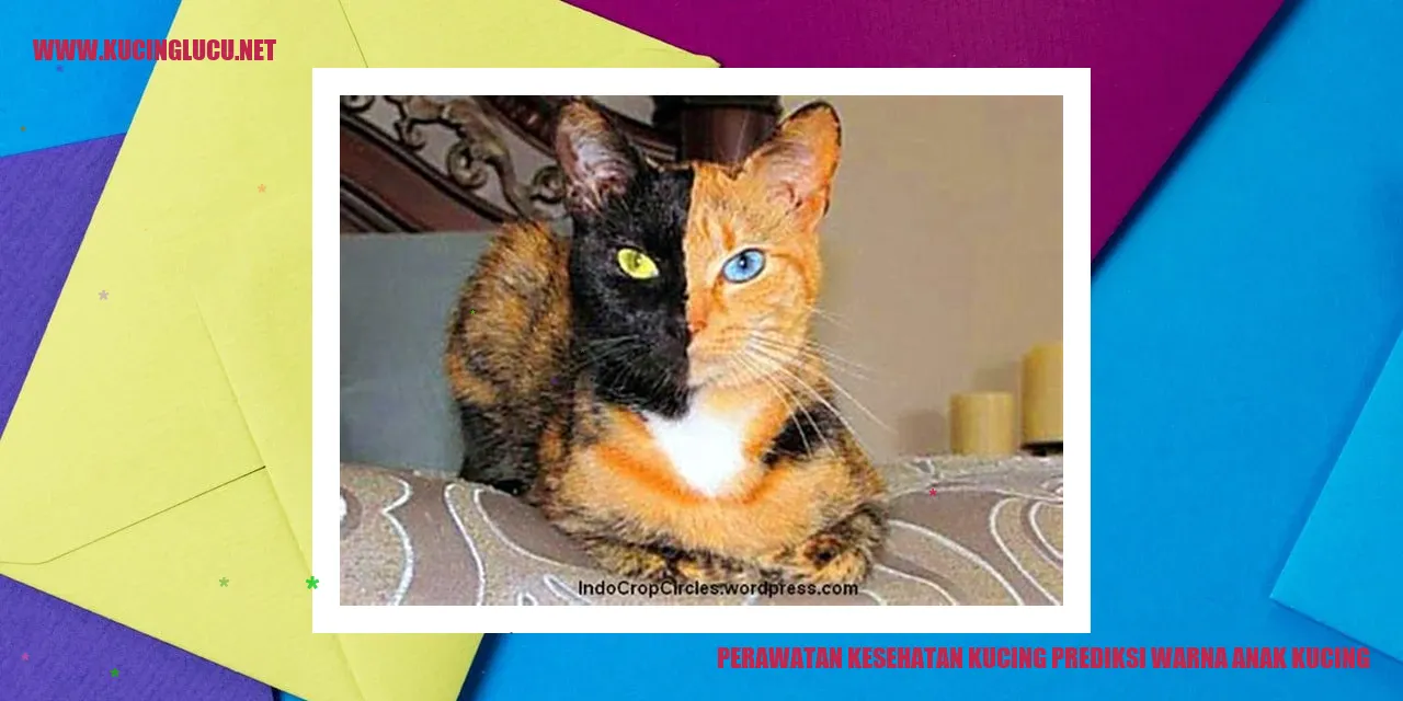 Perawatan Kesehatan Kucing prediksi warna anak kucing