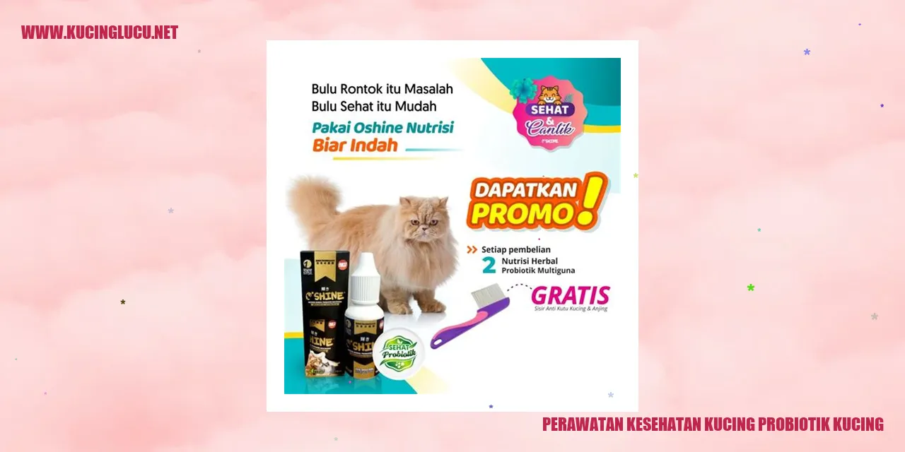 Kucing Sehat dengan Probiotik