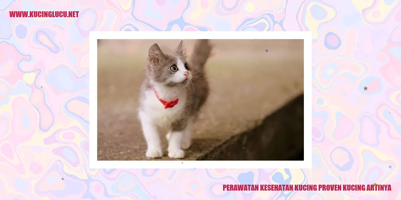 Perawatan Kesehatan Kucing