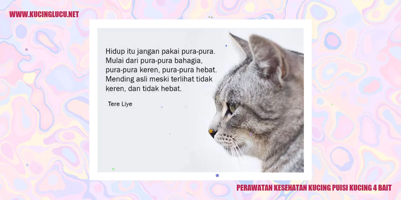 Perawatan Kesehatan Kucing