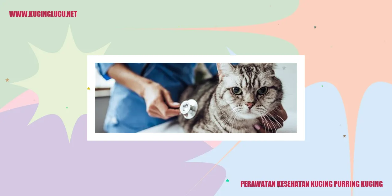 Gambar kucing purring
