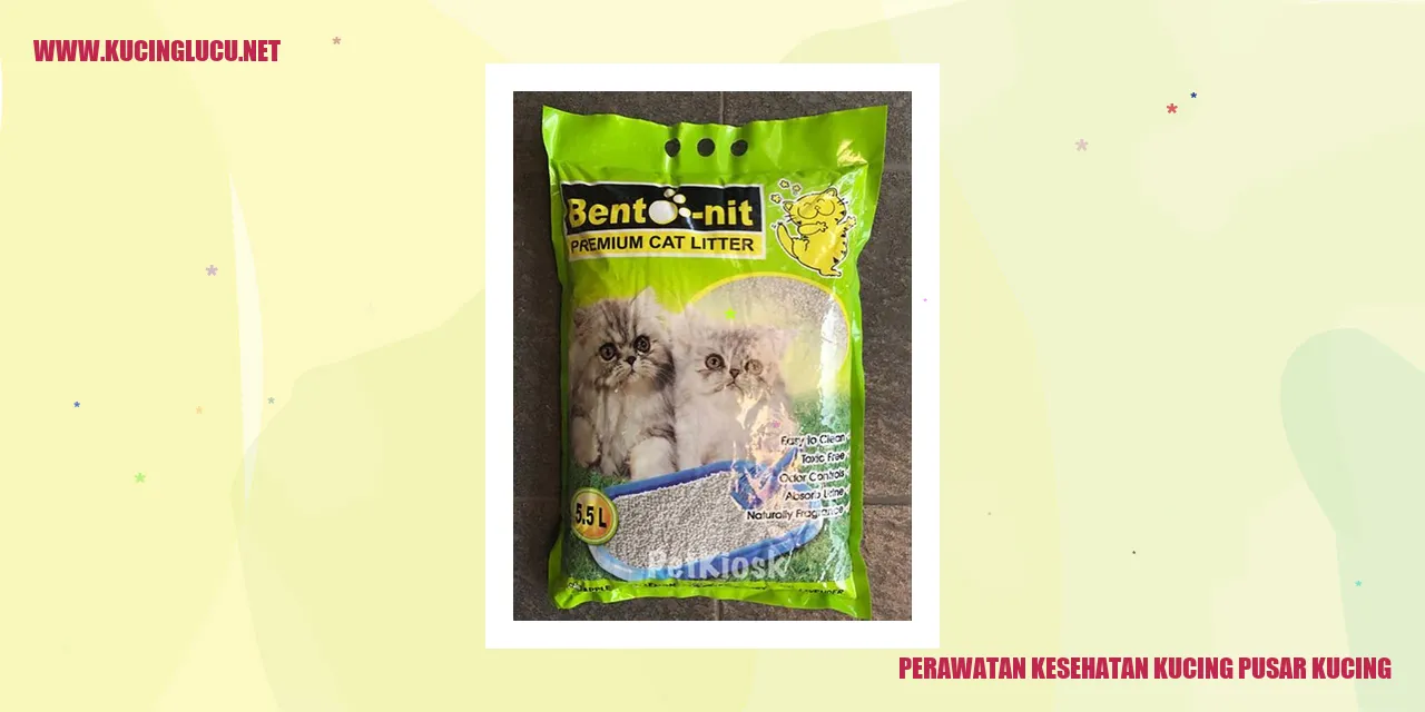 Perawatan Kesehatan Kucing pusar kucing