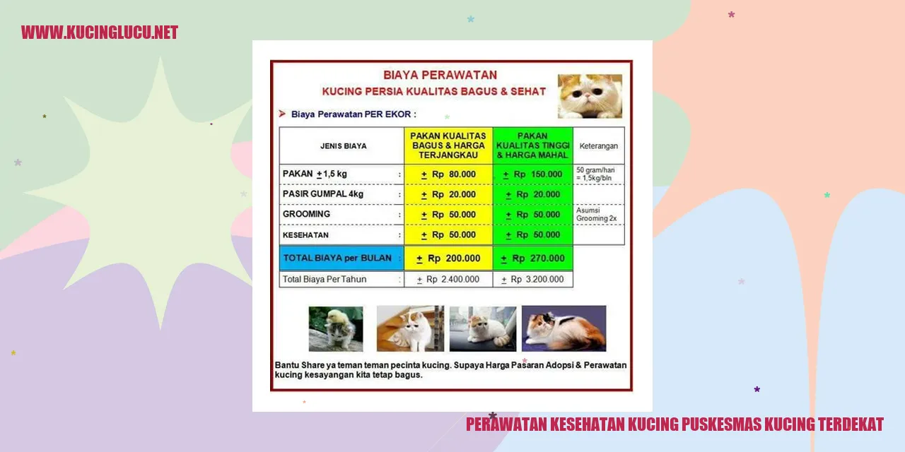 Perawatan Kesehatan Kucing