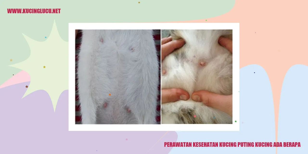 Perawatan Kesehatan Kucing
