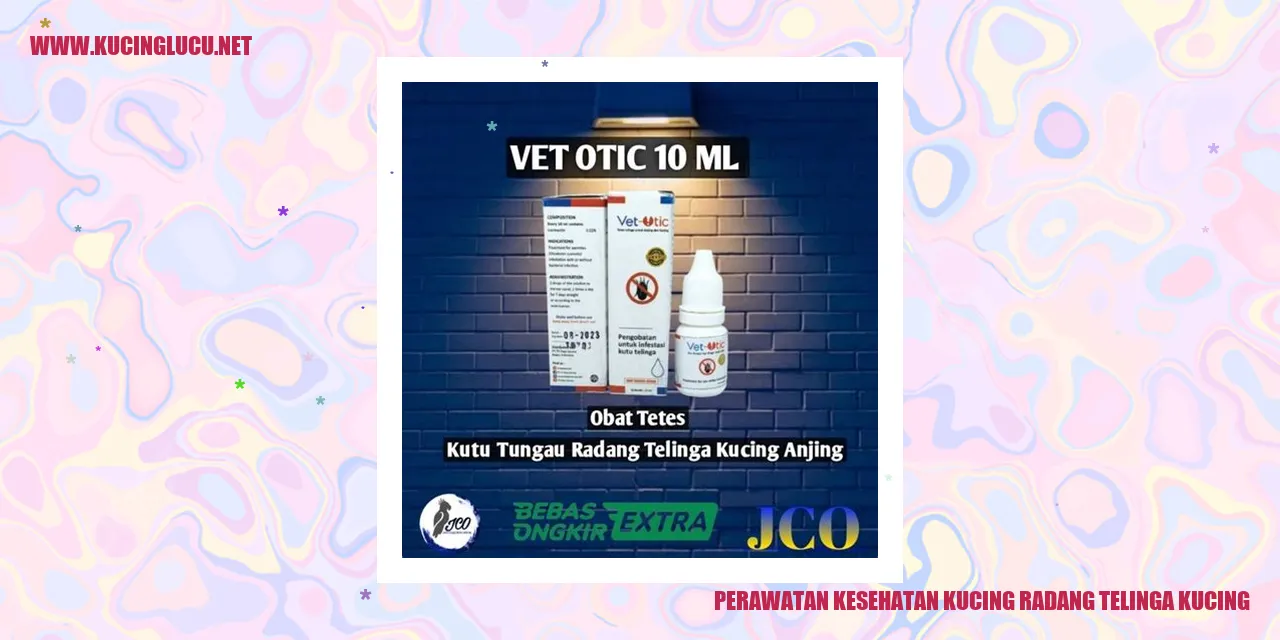 Perawatan Kesehatan Kucing