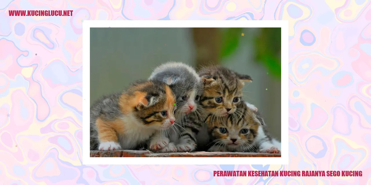 Gambar Kucing
