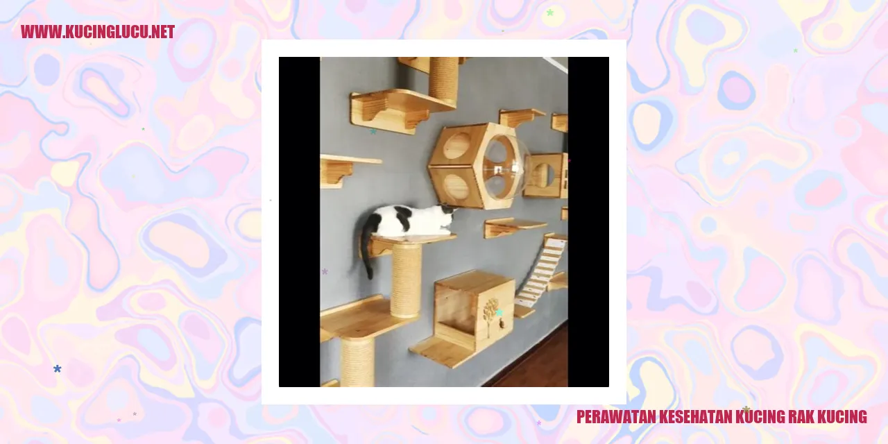 Perawatan Kesehatan Kucing Rak Kucing