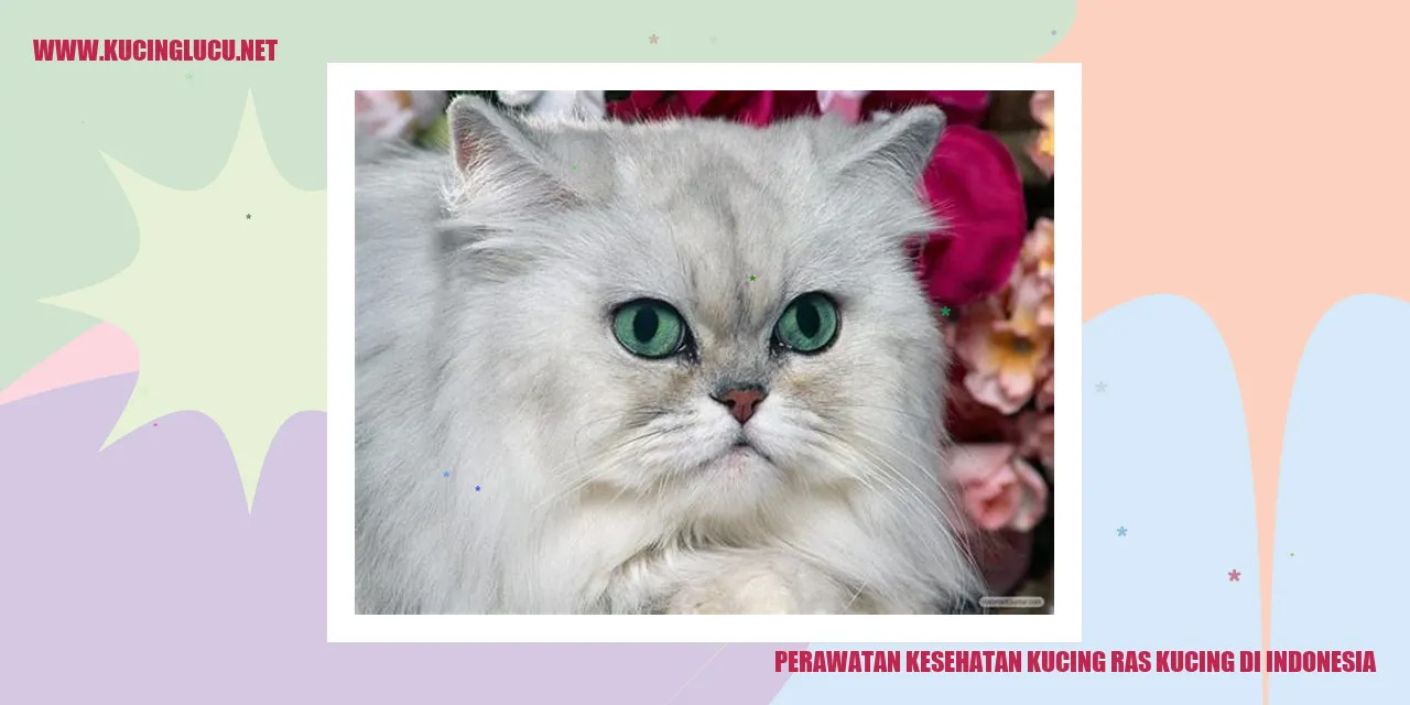 Perawatan Kesehatan Kucing Ras di Indonesia