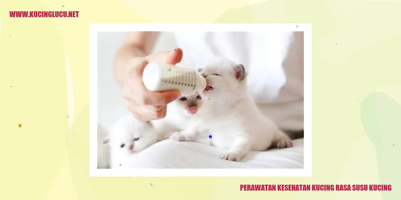 Perawatan Kesehatan Kucing rasa susu kucing
