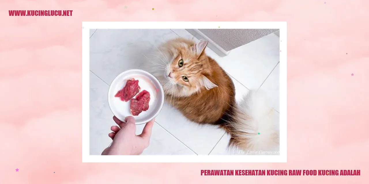 Perawatan Kesehatan Kucing dengan Makanan Mentah