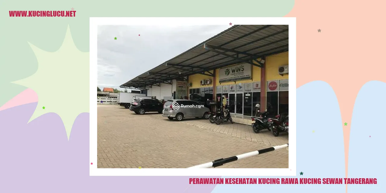 Perawatan Kesehatan Kucing