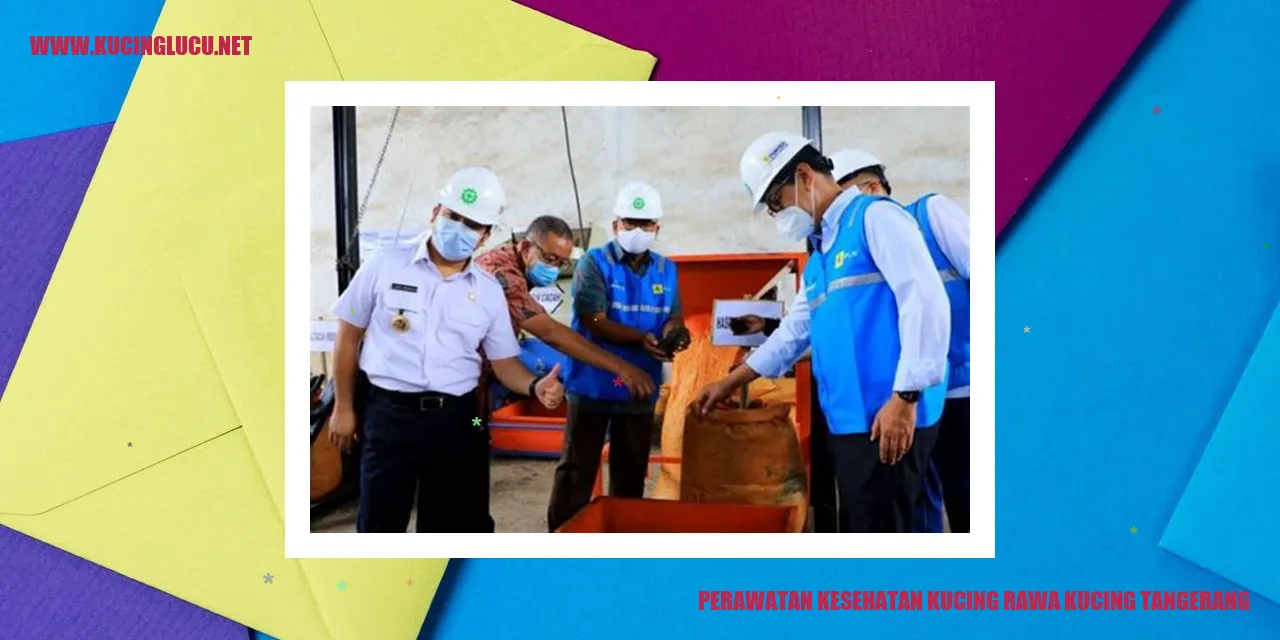 Perawatan Kesehatan Kucing