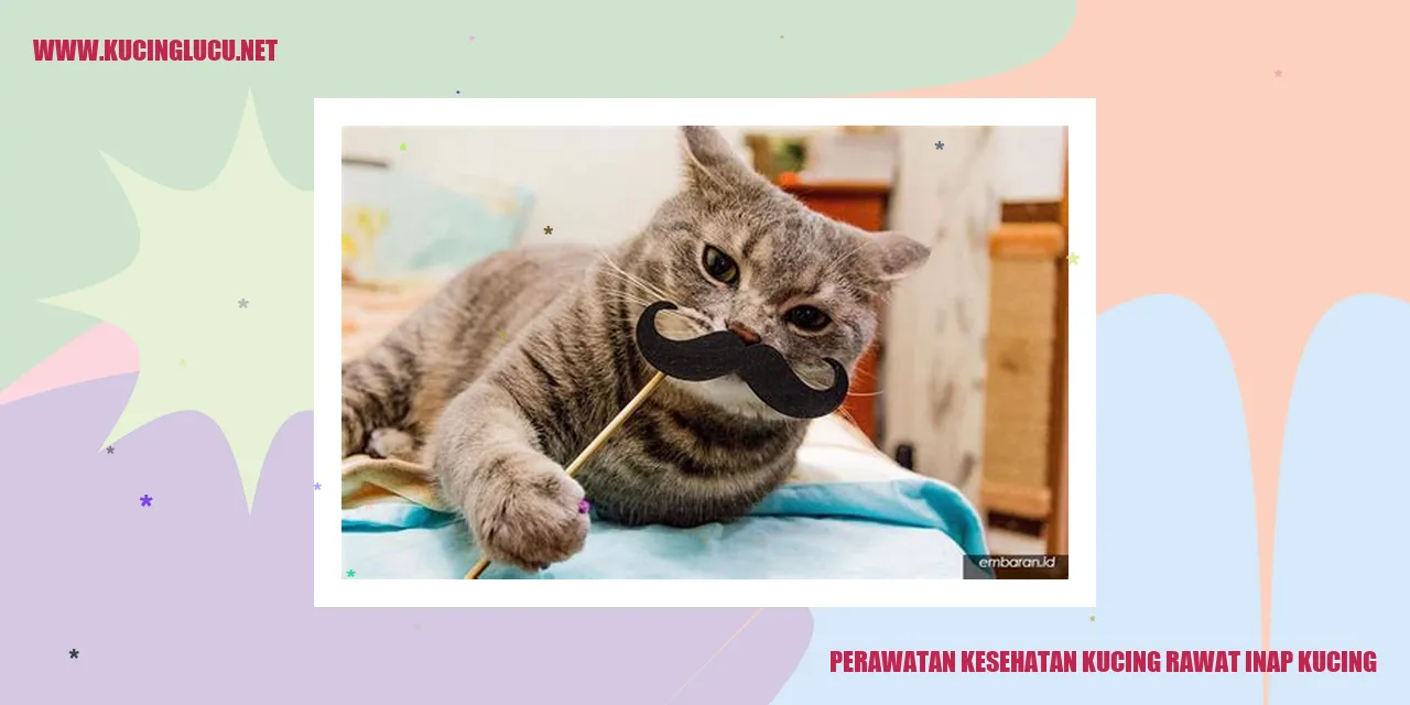 Kucing Dirawat Inap