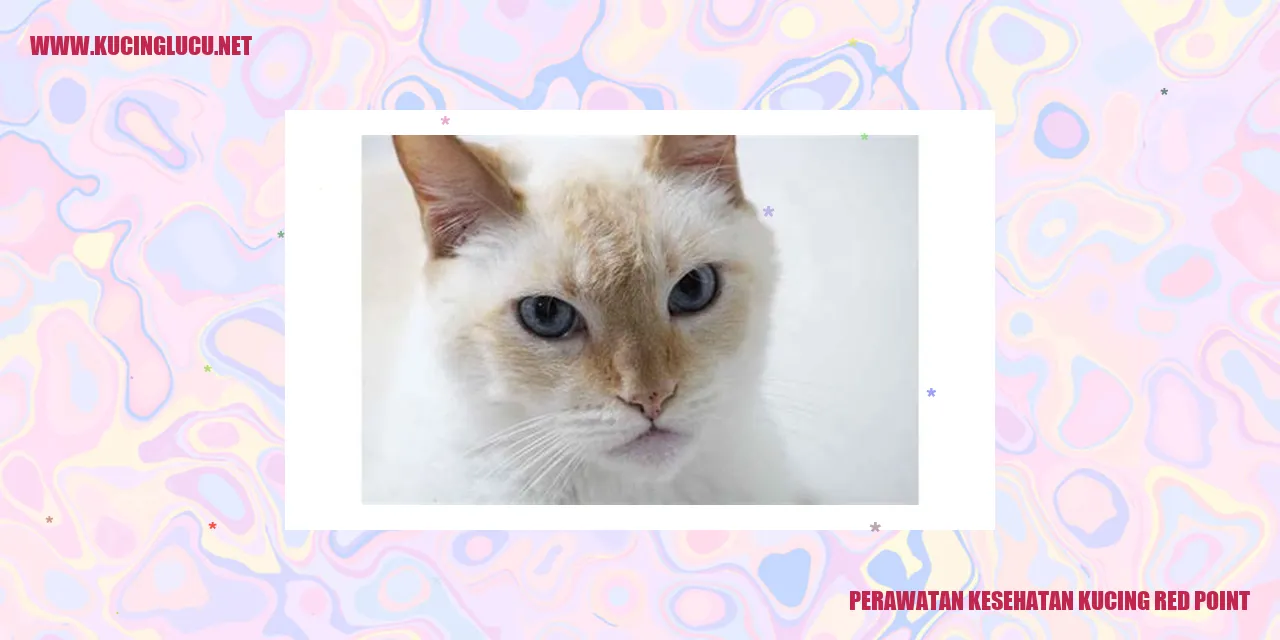 Perawatan Kesehatan Kucing Red Point