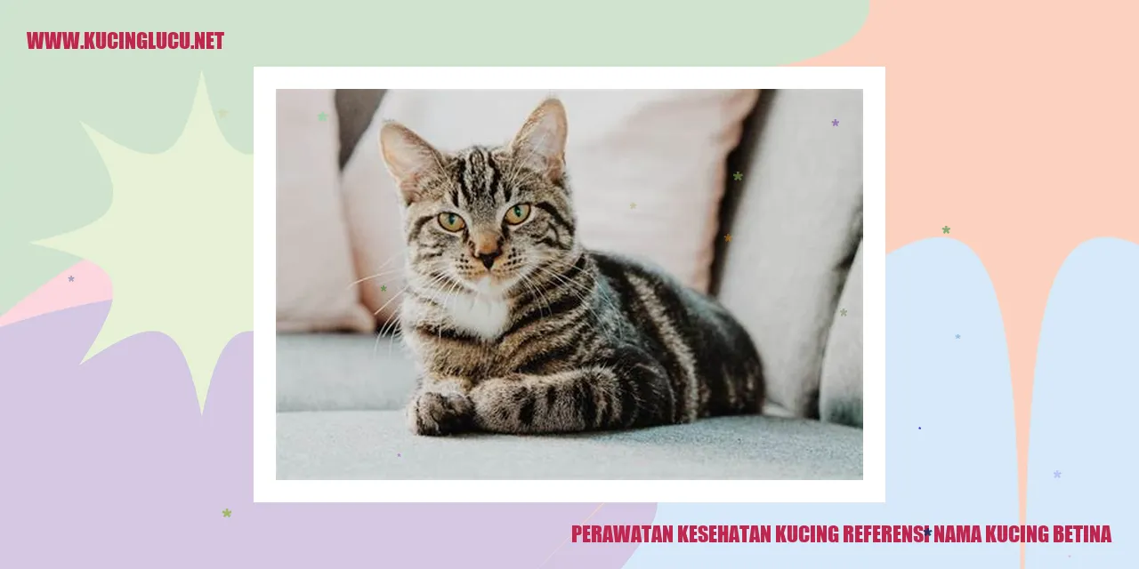 Perawatan Kesehatan Kucing Betina