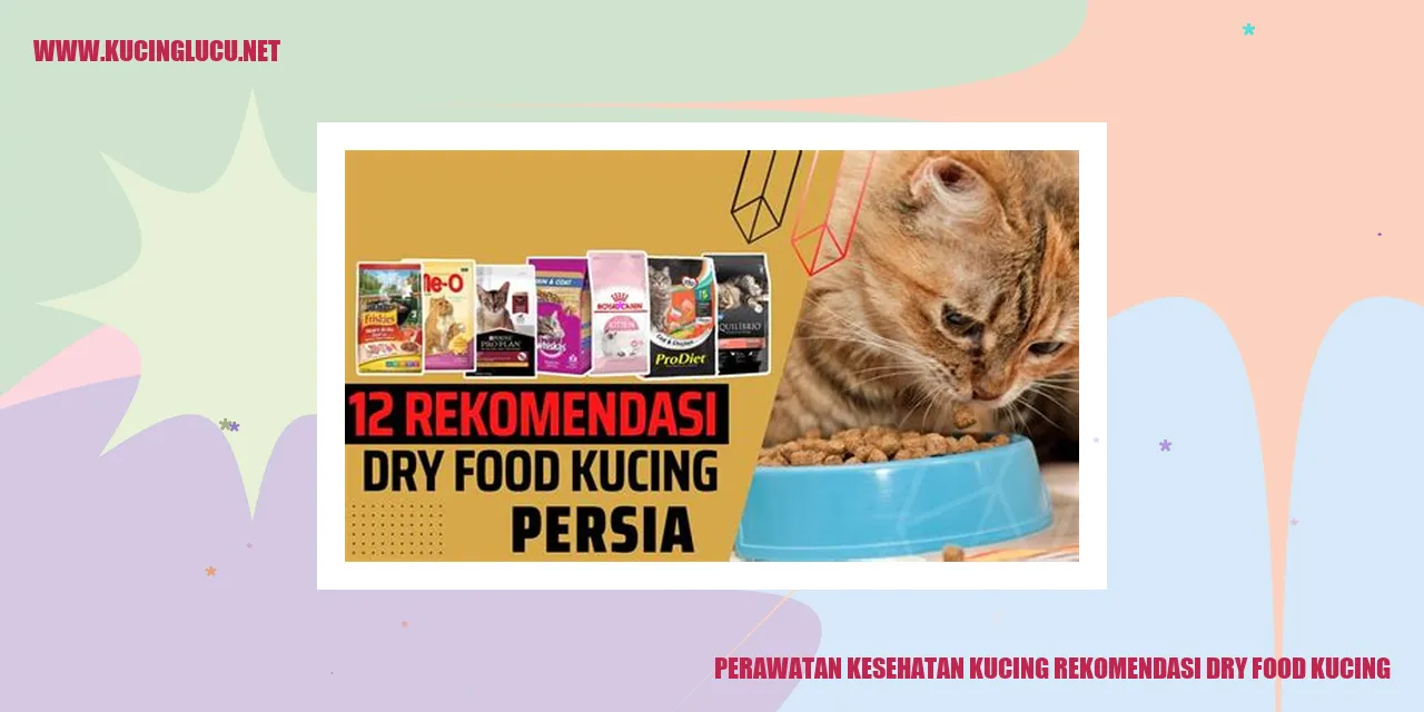 gambar kucing