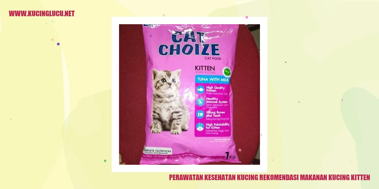 Gambar Kucing Kitten