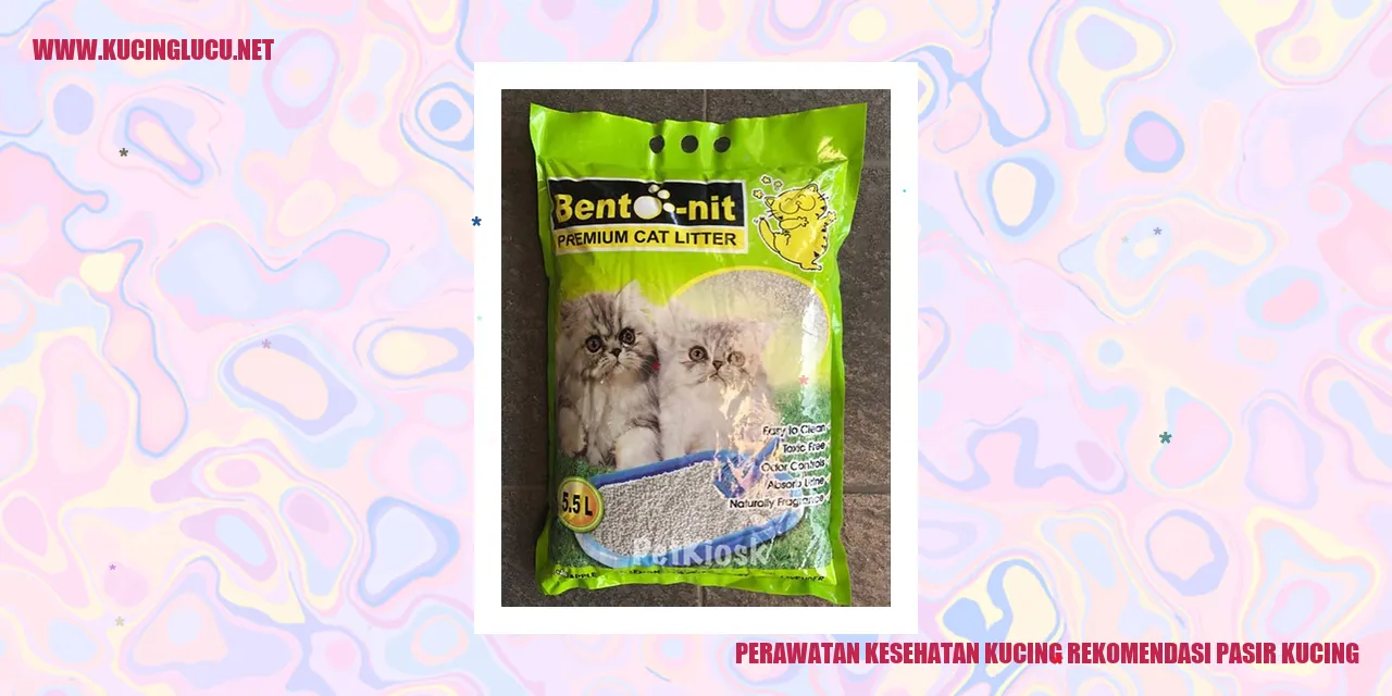 Perawatan Kesehatan Kucing
