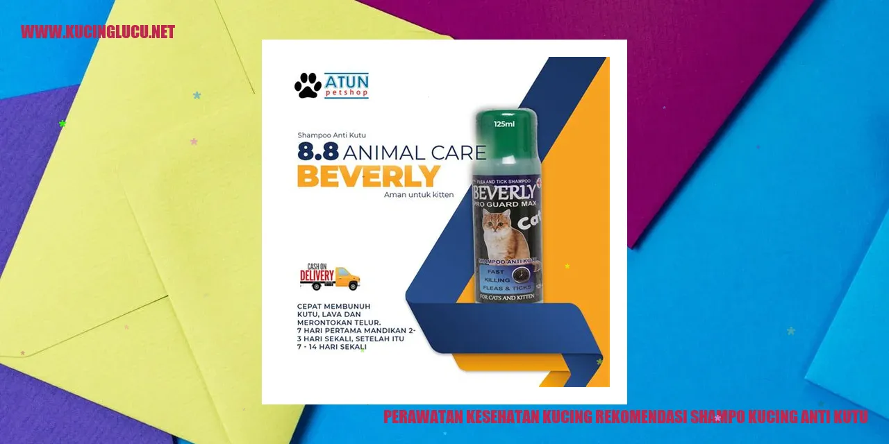 Kucing dengan bulu sehat dan bebas kutu