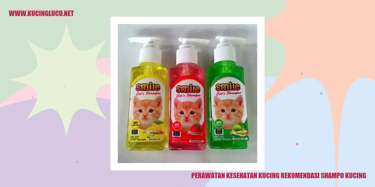 Gambar Kucing