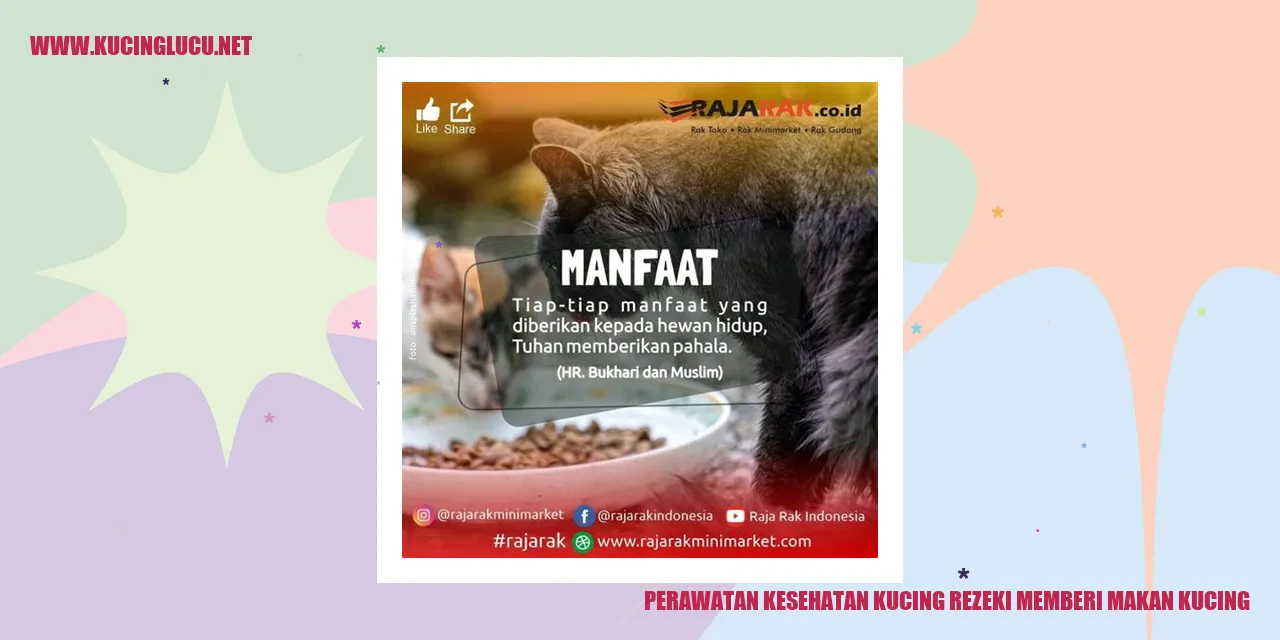 Perawatan Kesehatan Kucing rezeki memberi makan kucing