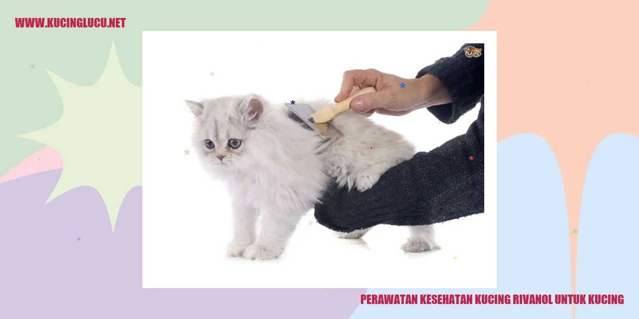 Kucing Sehat dengan Rivanol