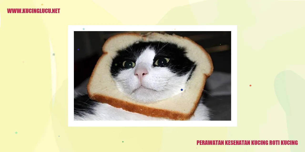 Perawatan Kesehatan Kucing Roti Kucing