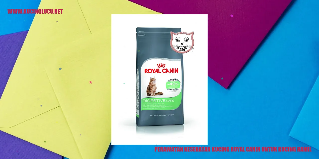Perawatan Kesehatan Kucing Royal Canin untuk Kucing Hamil