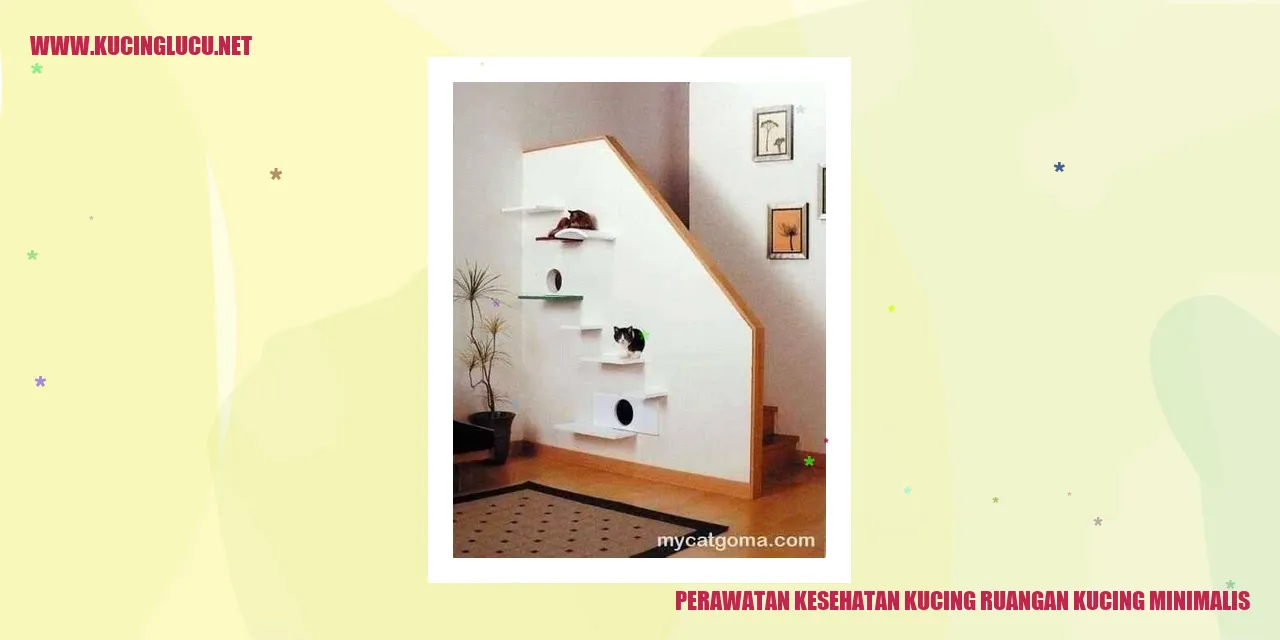 Perawatan Kesehatan Kucing ruangan kucing minimalis
