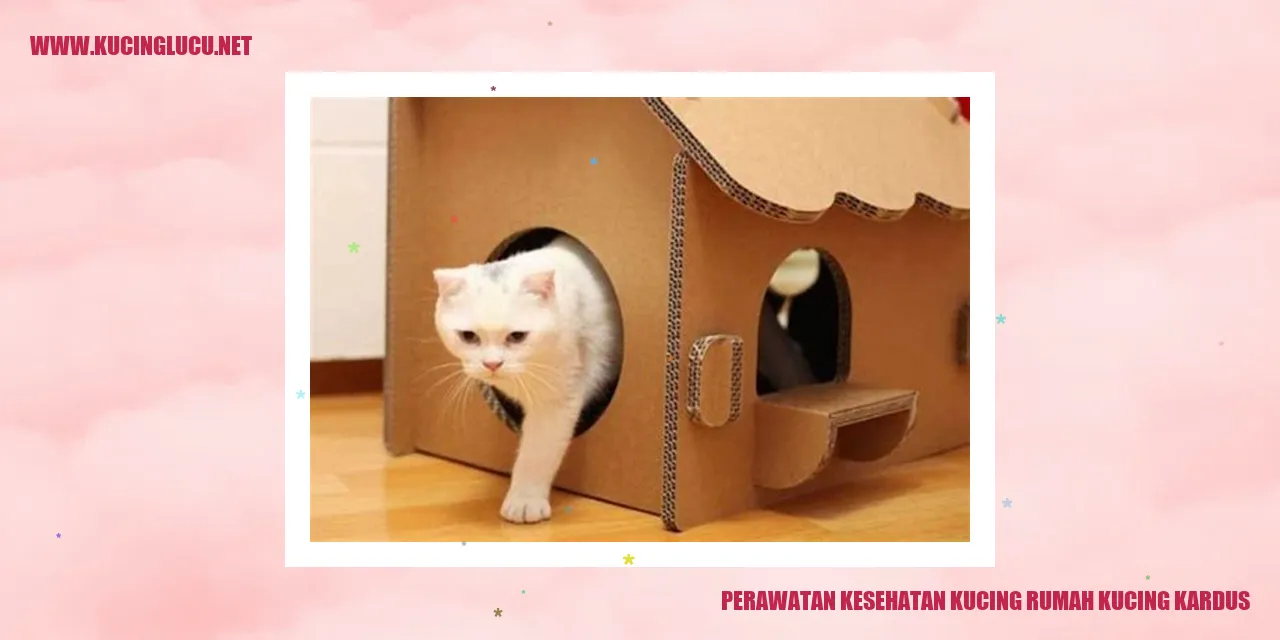 Perawatan Kesehatan Kucing Rumah dengan Kardus