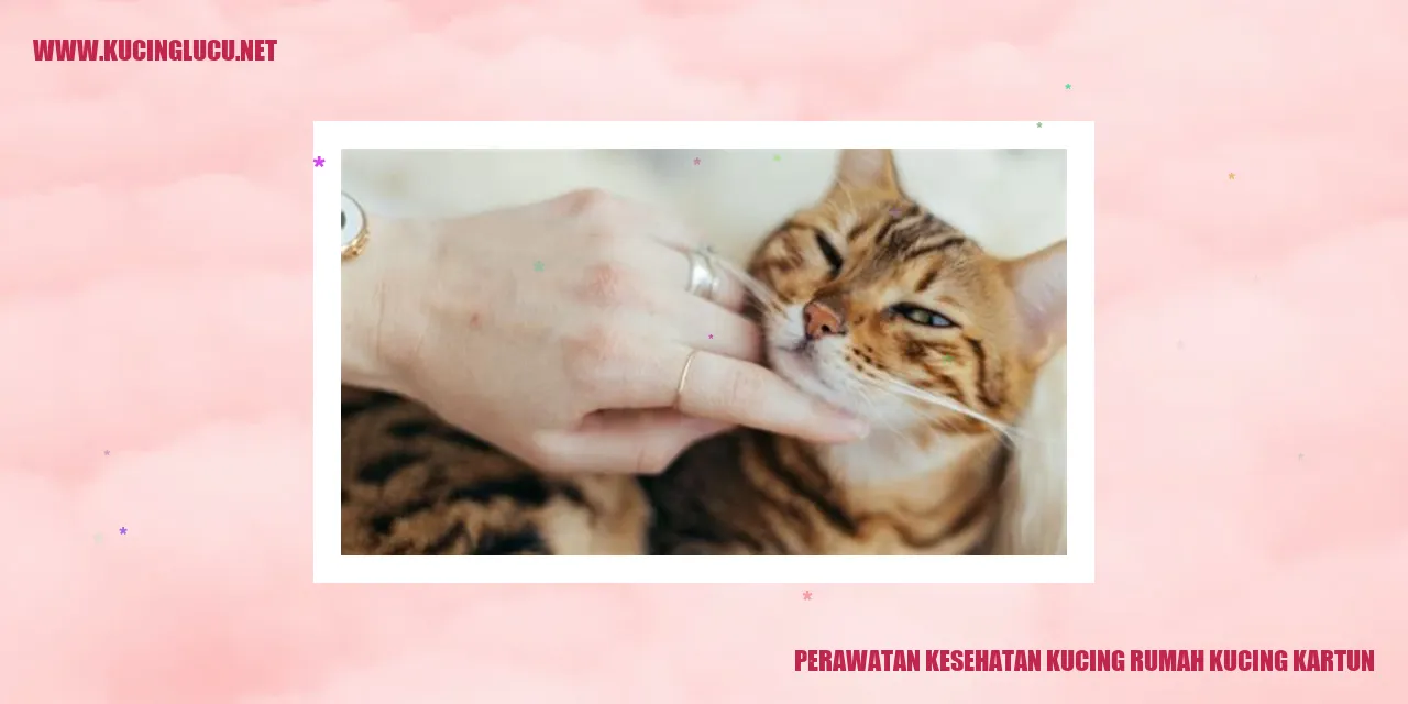 Perawatan Kesehatan Kucing dalam Kartun Rumah